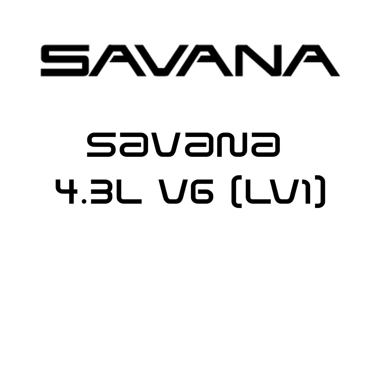 Savana 4.3L V6 (LV1)