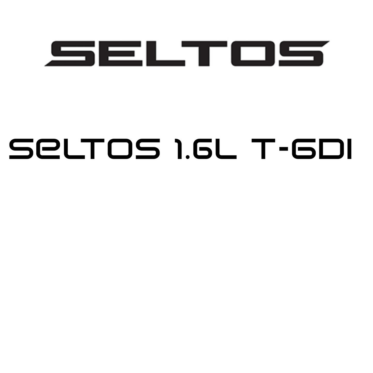 Seltos 1.6L T-GDi