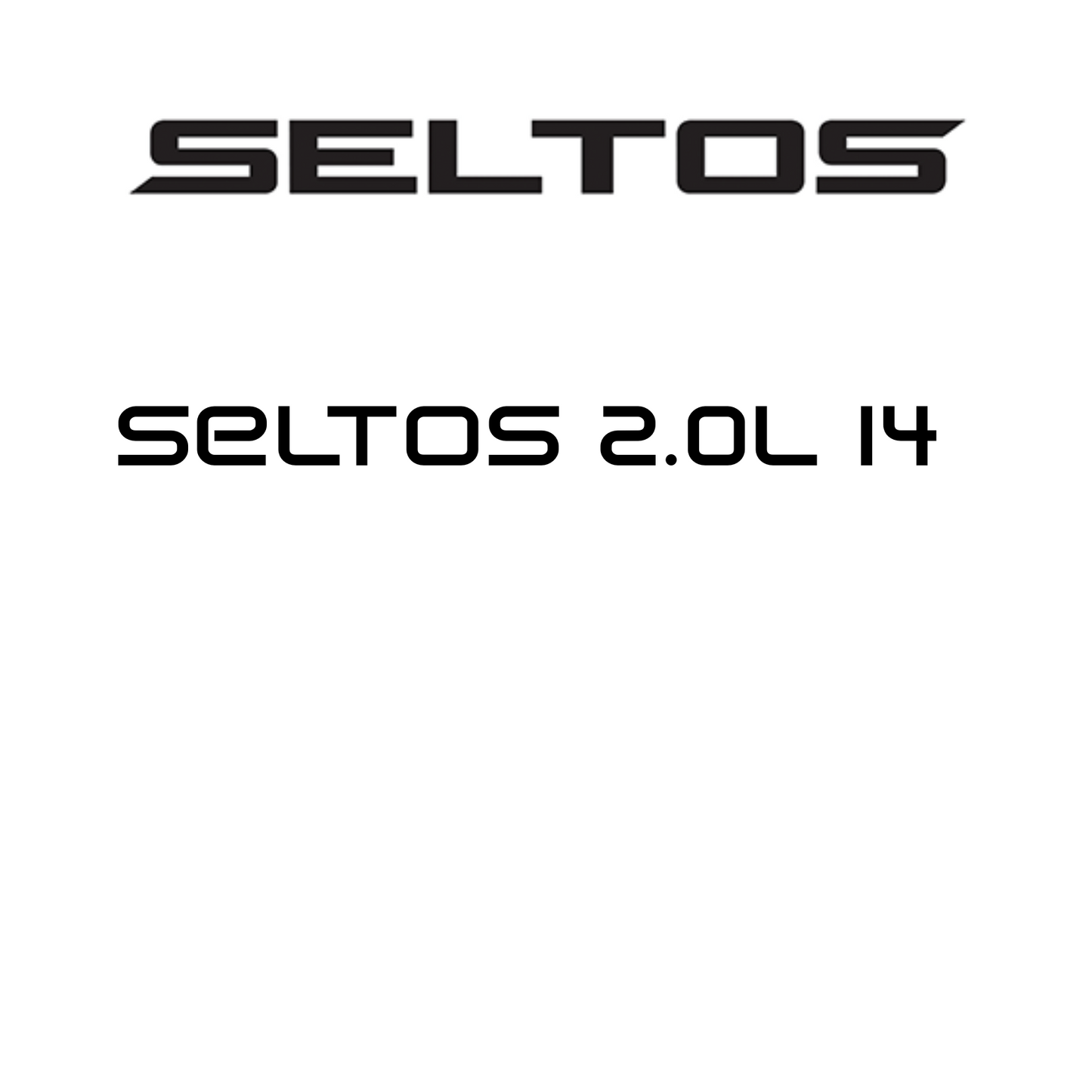Seltos 2.0L I4