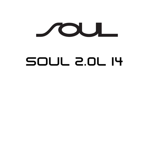 Soul 2.0L I4
